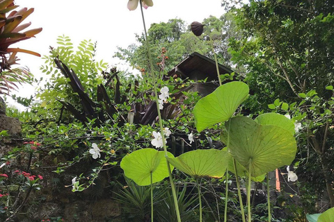 Barbados: Hunte&#039;s Garden, Artisan Studios och Beach Tour