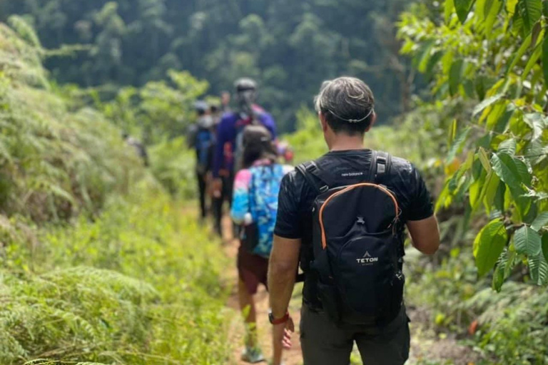 Trek de 5 jours à Ciudad Perdida - Explorez les origines avec des guides locauxTrek de 5 jours à Ciudad Perdida - Découvrez les origines avec des guides locaux