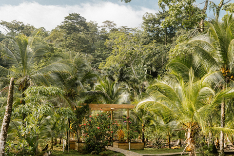 Bocas del Toro: Private Oceanfront Yoga & Island Escape