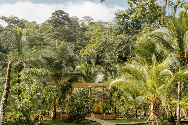 Bocas del Toro: Private Oceanfront Yoga & Island Escape