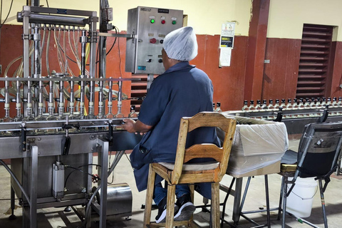 Worthy Park Estate Rum Distillery Tour with Tasting