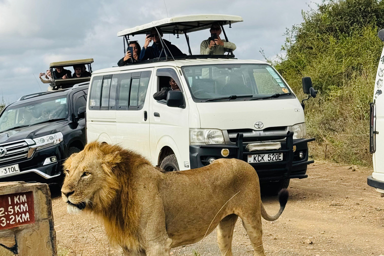 Golden Hour Safari: Afternoon Game Drive in Nairobi park National Park, Elephant Orphanage & Giraffe Private- Van