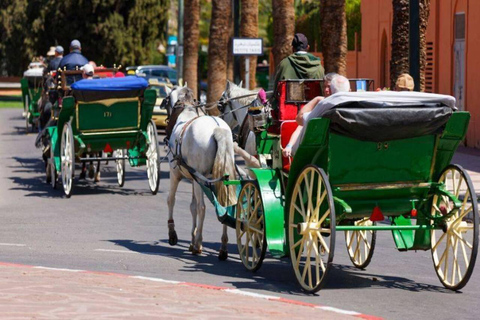 Marraquexe: Passeio de uma hora em carruagem tradicional puxada por cavalos