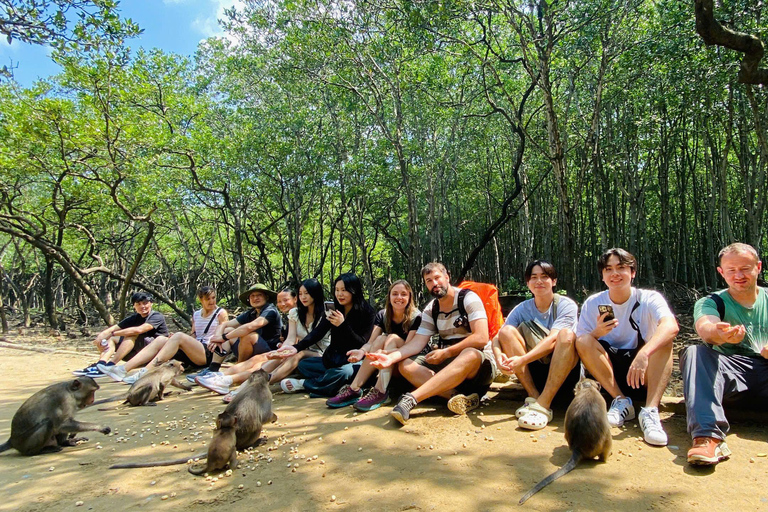 Desde Ciudad Ho Chi Minh: Paseo por los Manglares y la Isla de los Monos de Can Gio