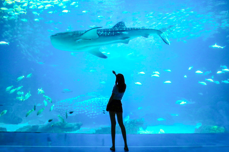 San Francisco: Alcatraz, Muir Woods &amp; Sausalito 2-daagse tour