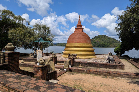 From Sigiriya:Polonnaruwa Day Tour with Farmers lunch
