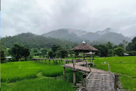 Half Day Tour in Pai, Afternoon Trip 7 Place to Sunset - Image 2