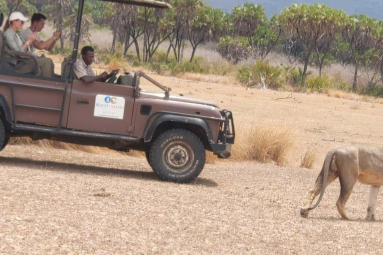 From Zanzibar: Mikumi Safari Day Trip with Flights and Lunch Mikumi Shared Safari without hotel transfer