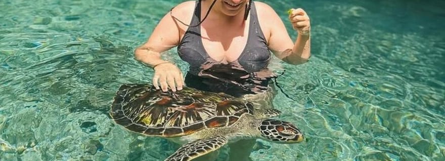 Zanzibar : excursion « Salaam Cave Swimming with Turtles » (baignade avec les tortues dans la grotte de Salaam)