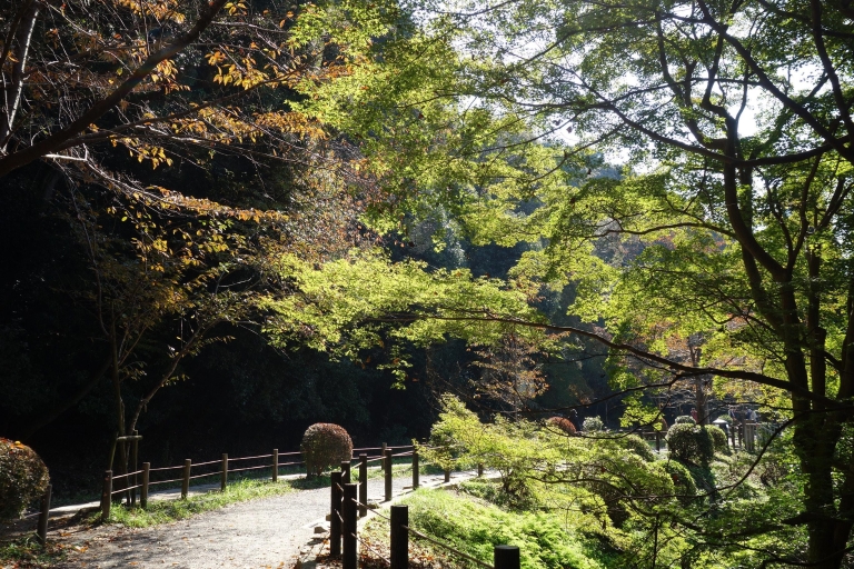 Kyoto Fun Fietstour: Ginkakuji en het Filosofenpad!Kyoto Fun Bike Tour: ontdek het als een inwoner!
