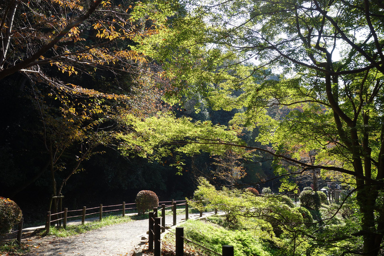 Wycieczka rowerowa po Kioto: Ginkakuji i ścieżka filozoficzna!Kyoto Fun Bike Tour: zwiedzaj jak miejscowy!