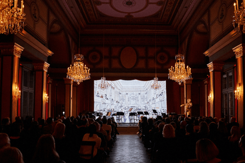 Vienna: concerto di Strauss dal vivo con cantante, orchestra e spettacolo di luciCategoria VIP: 1 - Seconda fila (incluso libretto del programma del concerto)