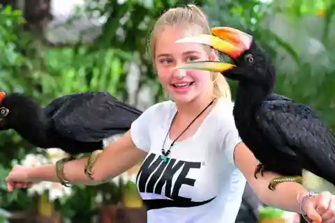 Phuket : entrée au parc ornithologique, nourrissage des perroquets et spectacles quotidiens