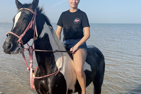 Hurghada: Horse Riding in the Desert & Beach Experience 1 HR Desert Horse Riding Experience without transfer