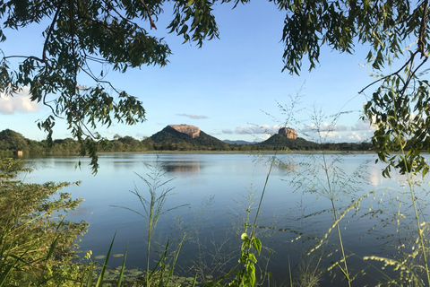 Sigiriya Treehouse Adventure – 3 Days 2 Nights from Colombo