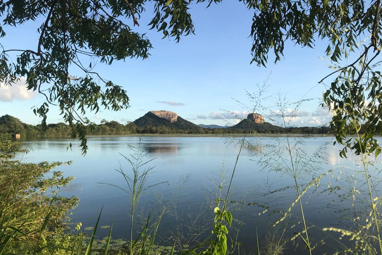 Sigiriya Treehouse Adventure – 3 Days 2 Nights from Colombo