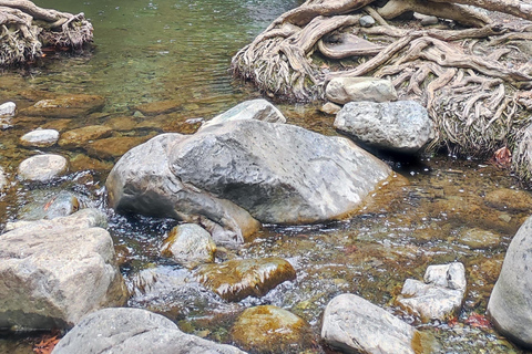 Paphos: Troodos Mountains Villages Tour with Wine Tasting