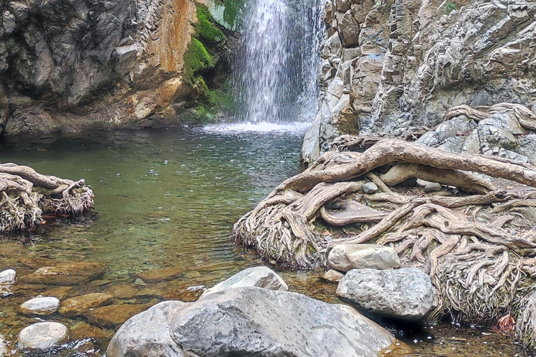 Paphos: Troodos Mountains Villages Tour with Wine Tasting