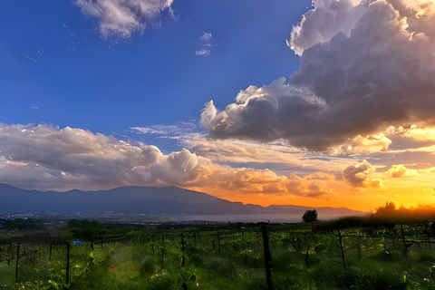 Pompeii: Mount Vesuvius Night Horseback Ride and Italian BBQ