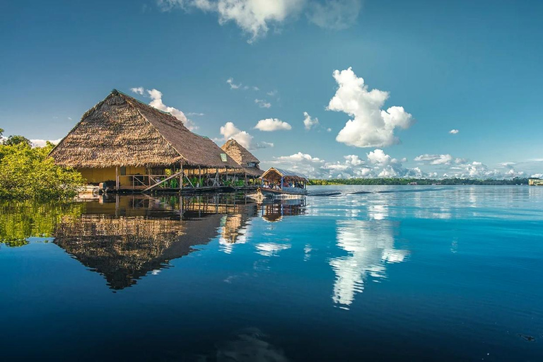 Iquitos | 2 dagar i Amazonas, världens naturliga underverk