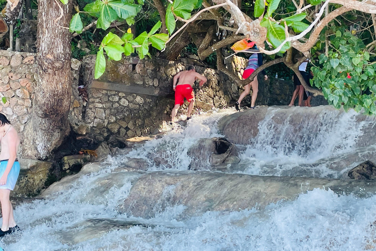 Montego Bay : Visite privée de Bob Marley et des chutes de Dunn's River