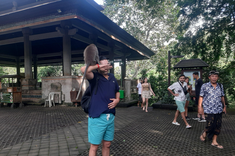 Ubud: Foresta di scimmie, terrazze di riso e cascateUbud: Foresta di scimmie, terrazza di riso e cascata