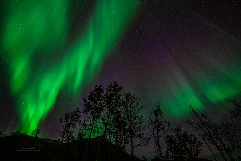 Tromsø:Northern Lights Tour with Photo and Suits.Local Guide Tromsø: Northern Lights Tour with Photos and Warm Suits