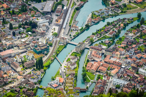 Atterraggio di fortuna su di te: Tour di un giorno in Svizzera da Zurigo