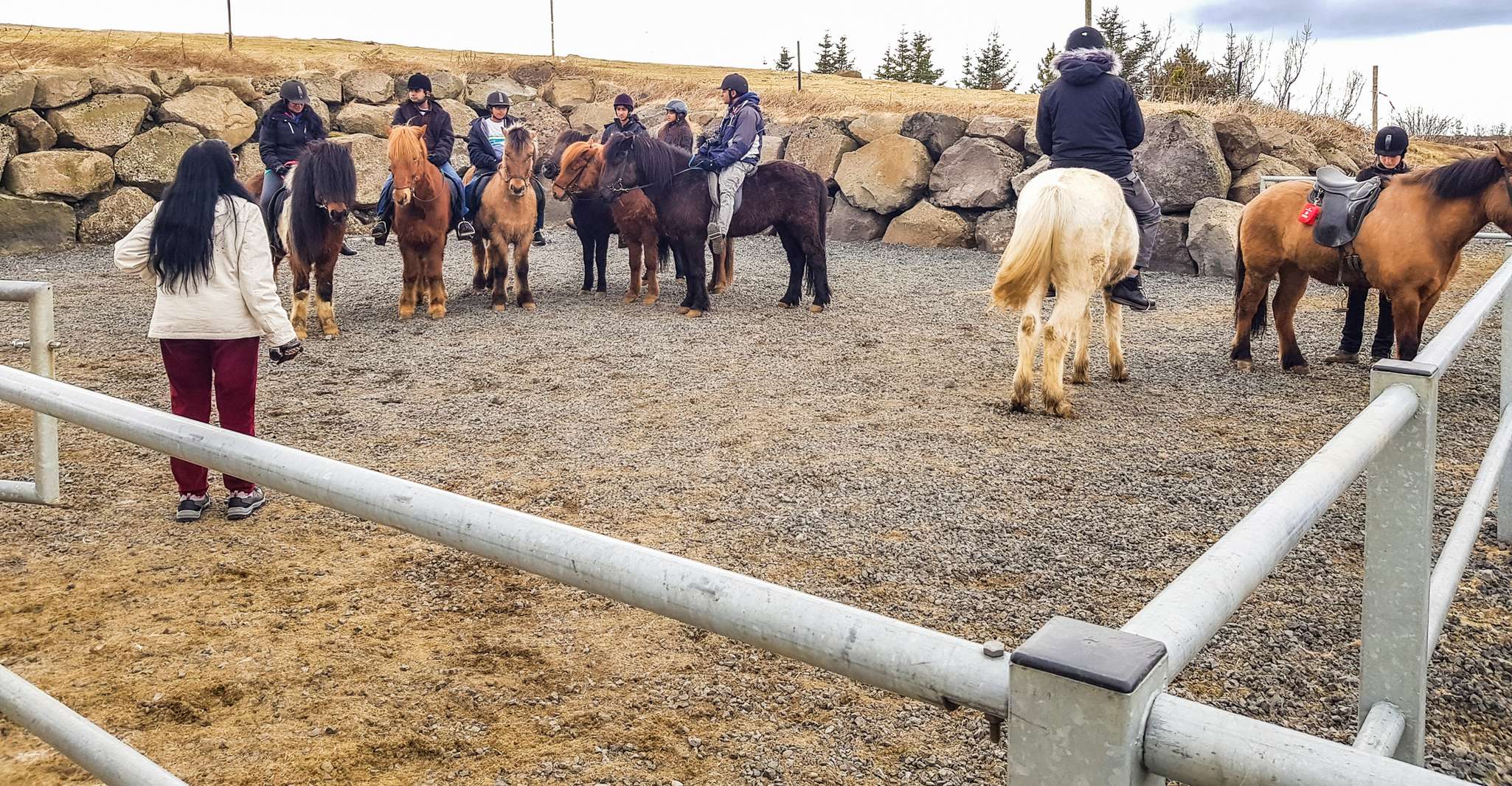 Reykjavik, Red Lava Horse Riding Tour - Housity