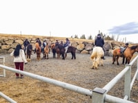 Reykjavik, Red Lava Horse Riding Tour - Housity