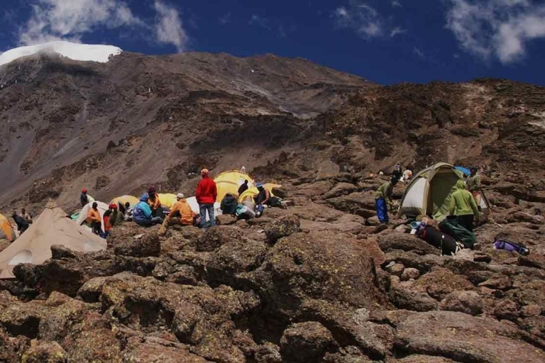 8-Daagse beklimming van de Kilimanjaro via de Umbwe Route