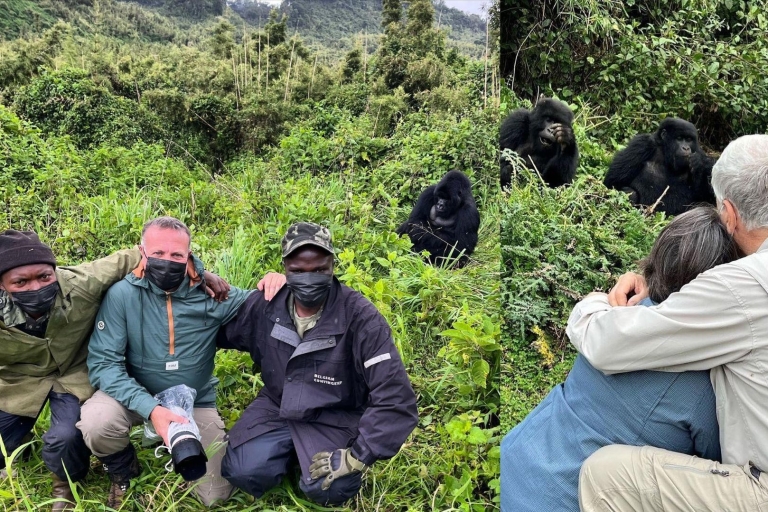 Desde Kigali: excursión de un día a Gorilla Trekking con almuerzoTour para grupos pequeños
