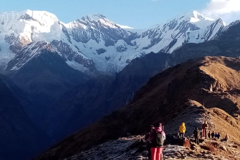 Z Pokhary: 4-dniowy trekking do bazy Mardi Himal