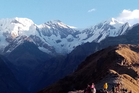 Pokhara: 7-Day Mardi Himal Base Camp Trek with Safari Tour