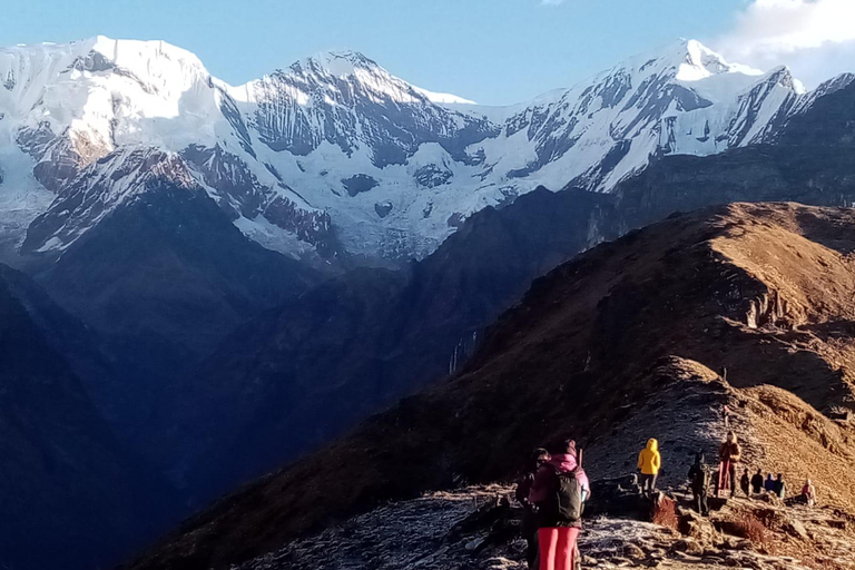 Pokhara: 7-Day Mardi Himal Base Camp Trek with Safari Tour