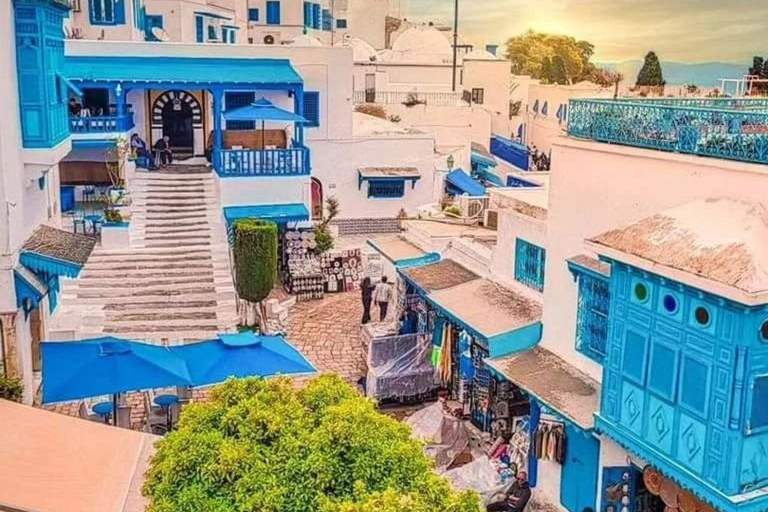 Wycieczka prywatna Muzeum Bardo, Kartagina, Sidi Bou Said i Medyna