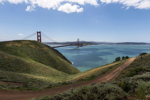San Francisco: Muir Woods, Pacific Coast & Sausalito Tour
