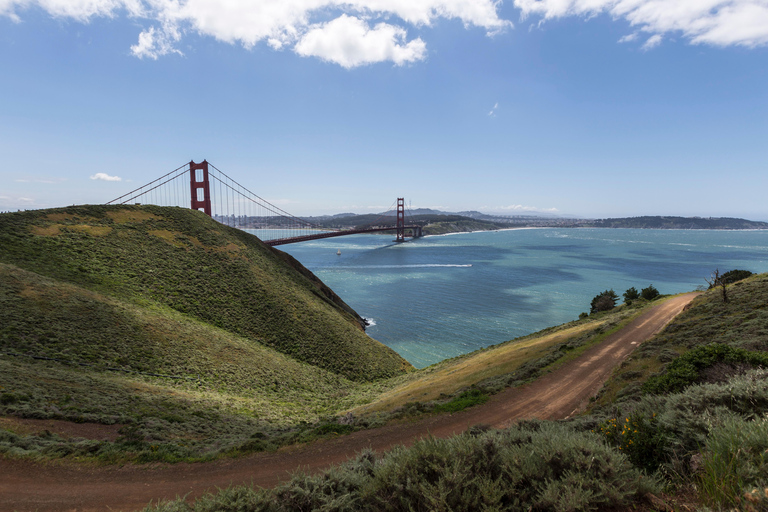 San Francisco: Muir Woods, Pacific Coast & Sausalito Tour