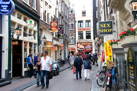 Amsterdam: Highlights Discovery tour