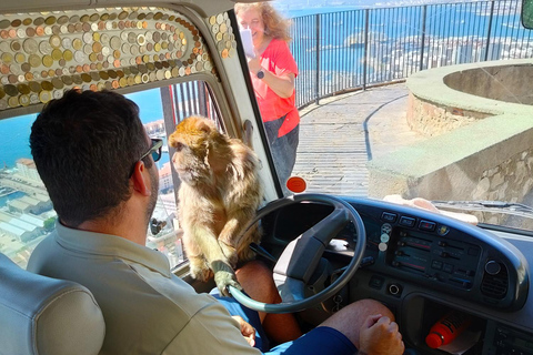 From Cadiz Bay: Gibraltar Day Trip with Rock Tour