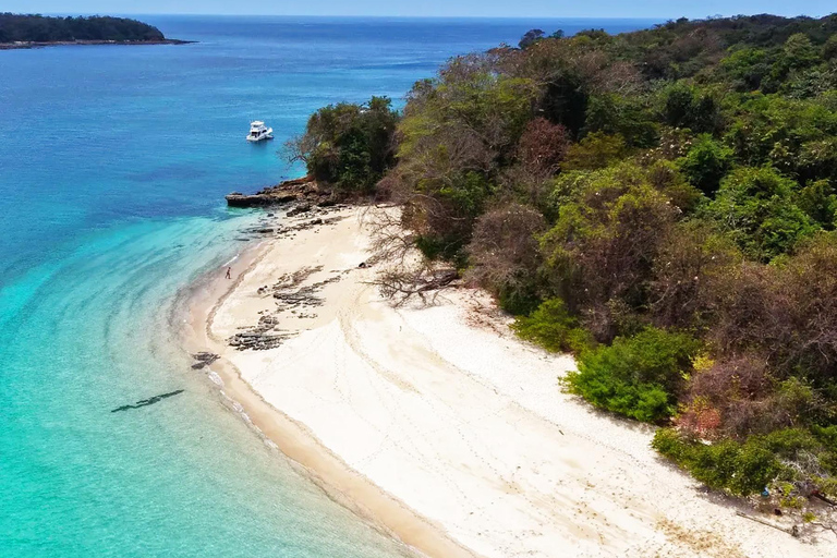 Panama: Las Perlas Archipelago Whale Watching Tour