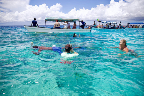 Zanzíbar: Observación de delfines en la isla de Mnemba y crucero al atardecer