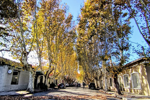 Colonia del Sacramento: City Tour by Electric Golf Cart