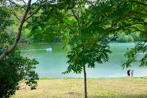 Tbilisi 2 Parks: Turtle Lake &amp; Dedaena Park with Flea Market