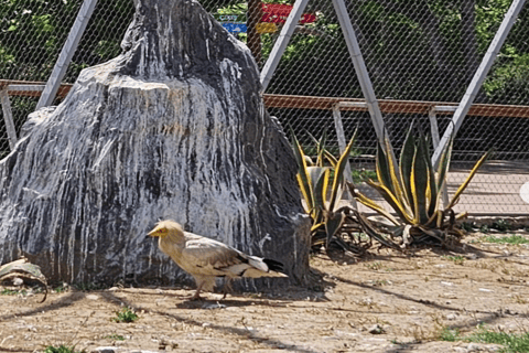 Baku: Fauna and Flora Tour