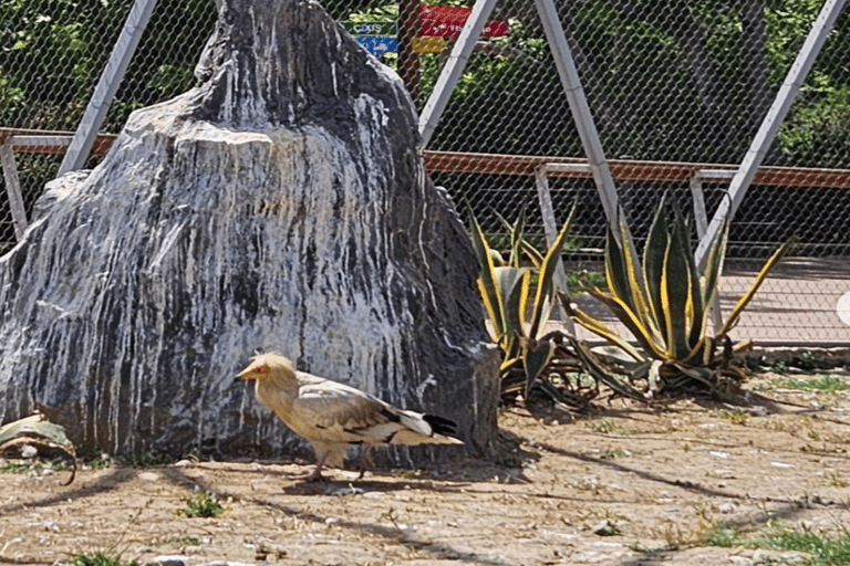 Baku: Fauna and Flora Tour