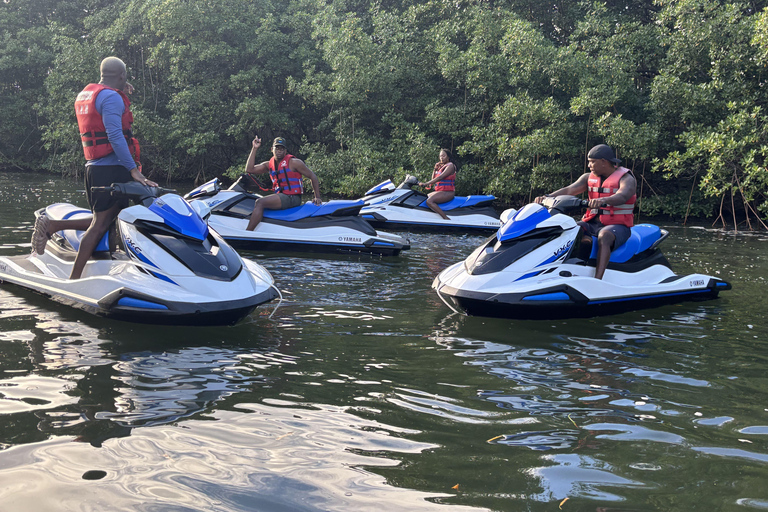 Jetski-tocht van 1 uur door de mangroves en rond het eilandje Guadeloupe1 uur jetskiën in de mangroves en rond het eilandje van Guadeloupe