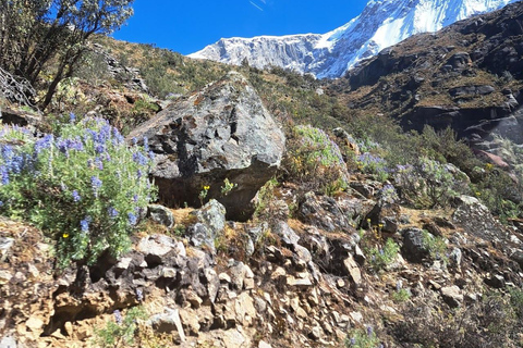 Huaraz: całodniowa laguna Rocotuyoc + zamarznięta laguna