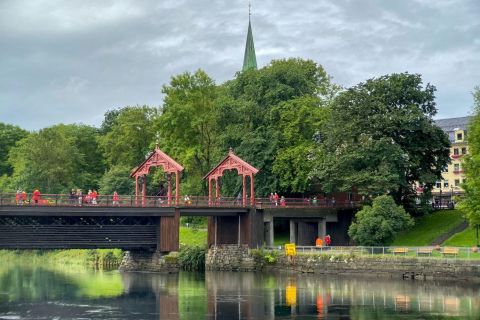 Trondheim pur - explore the highlights by bus & walk