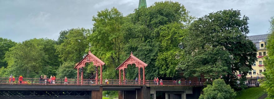 Trondheim : Visite en bus et à pied des points forts de la ville
